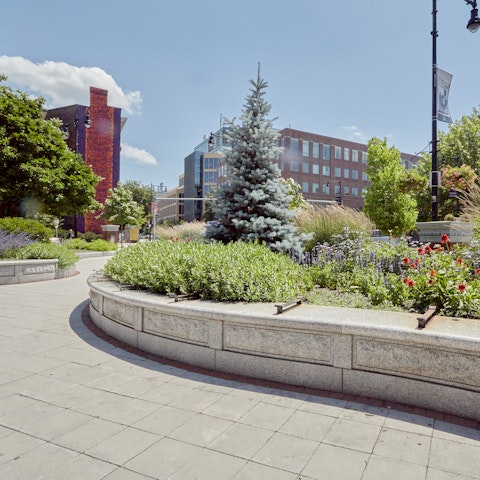 Explore the cosy bars and craft coffee shops in leafy Cambridge