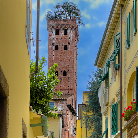 Visit the 14th-century Guinigi Tower, just footsteps from the home