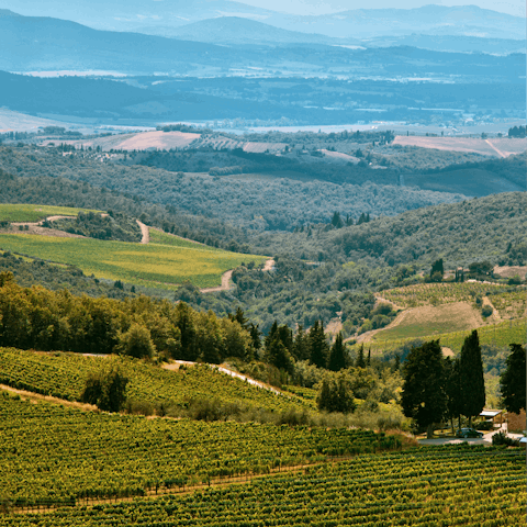 Discover the area including the pretty village of Gaiole, 11 kilometres away