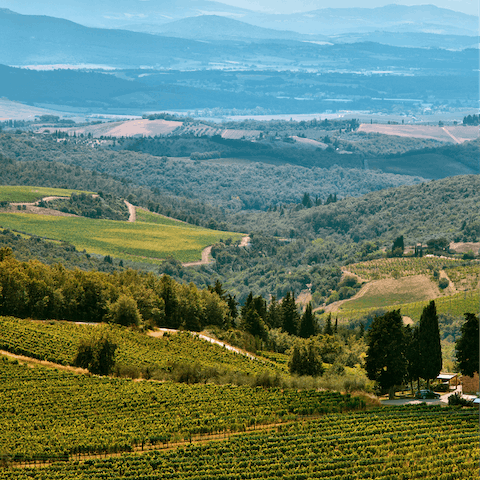 Discover the area including the pretty village of Gaiole, 11 kilometres away