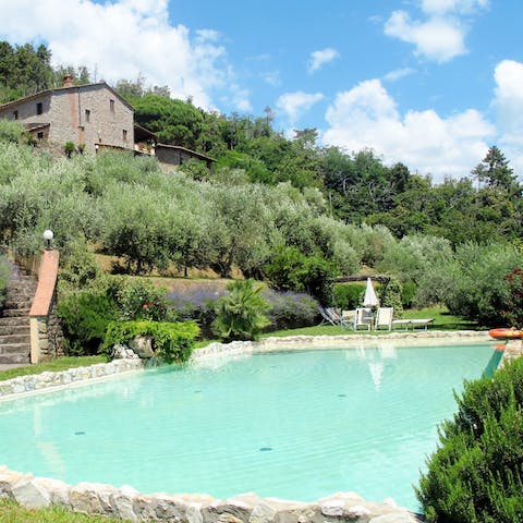 Cool off in the shared pool surrounded by greenery