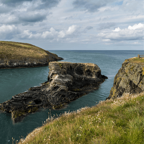 Experience the beauty of Wales from Cardigan Bay