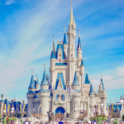 Experience the magic and joy of Florida from Disney World