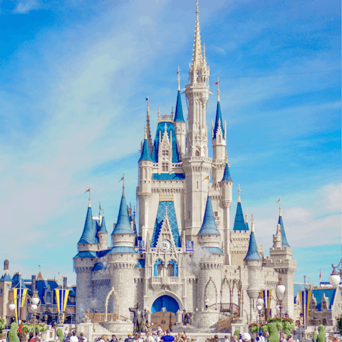 Experience the magic and joy of Florida from Disney World