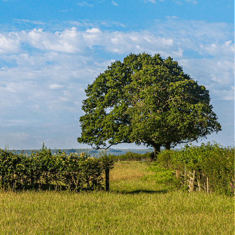 Go hiking the beautiful Lincolnshire Wolds, right on your door step