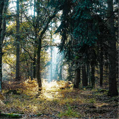 Explore the nearby hiking trails of the Hollywood neighbourhood