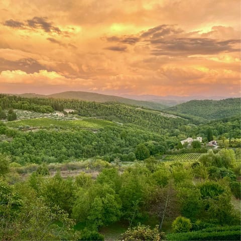 Drive to Castellina in Chianti to experience this beautiful province
