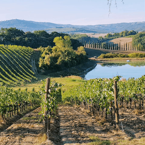 Visit one of the nearby vineyards for a tasting of local wines