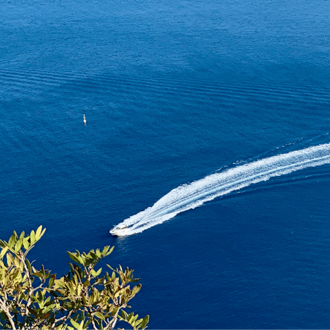 Experience the magic of coastal living with an organised boat trip