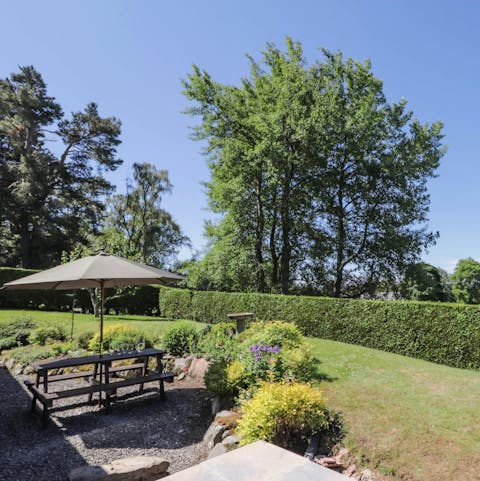 Admire the views of the surrounding woodland from the garden