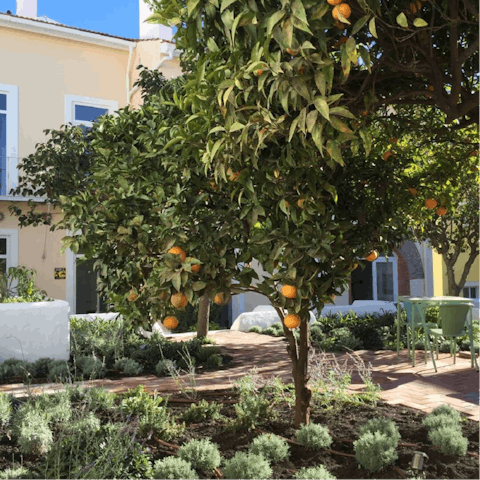Take your sundowner out into the shared garden
