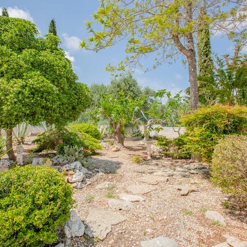 Enjoy the tranquillity of your location with a walk around your gardens