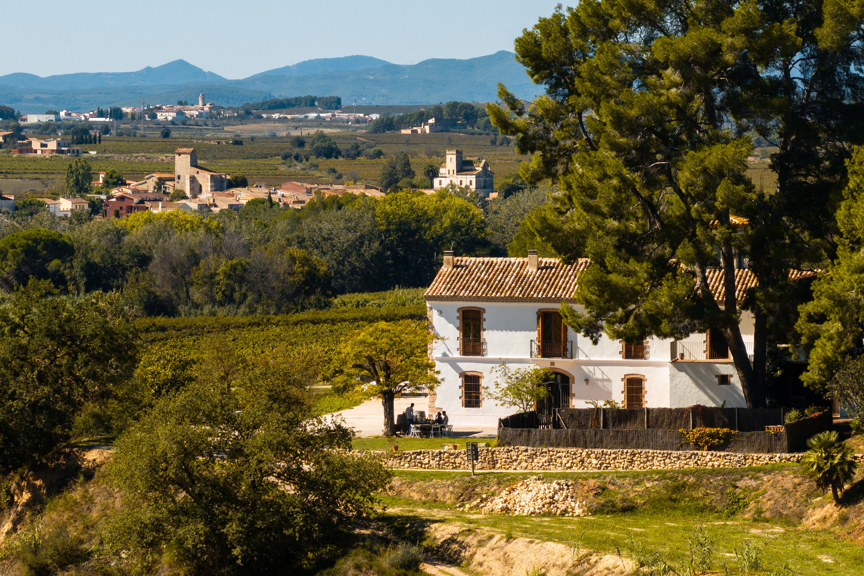 The Winegrower's Terrace