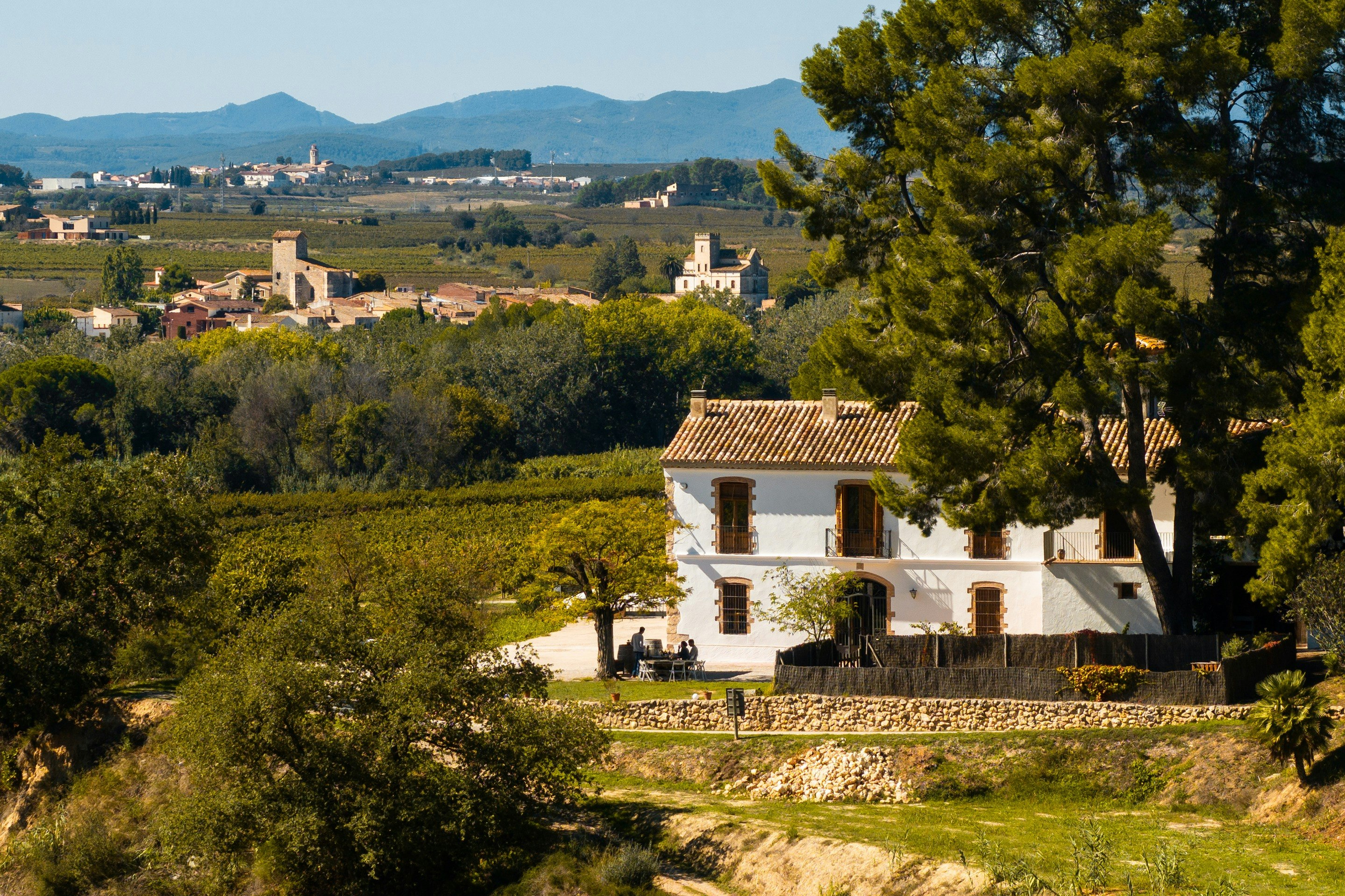 The Winegrower's Terrace
