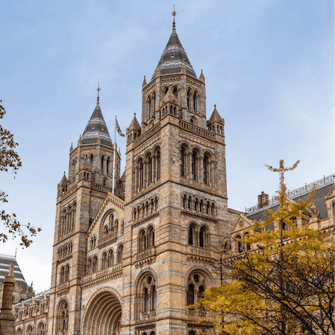 Take a stroll to nearby Kensington to visit museums and galleries