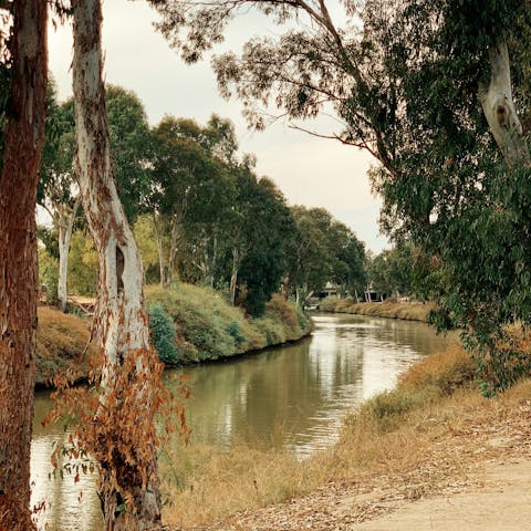 Explore Yarkon Park and gardens, a fifteen-minute walk away