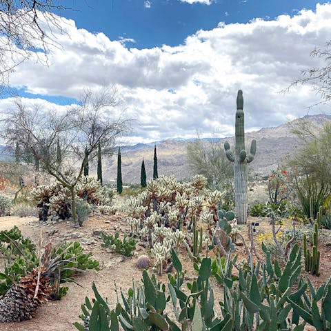 Breathe in beautiful desert surroundings