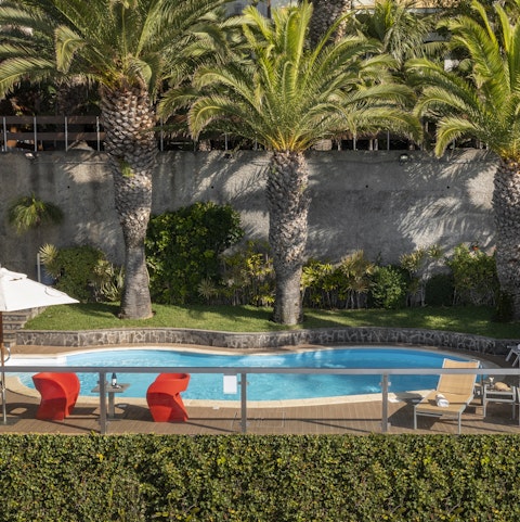 Enjoy a relaxing swim beneath the shade of the palm trees