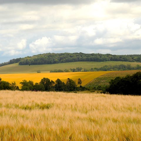 Don your walking shoes and set off on a trek through the South Downs – there's a public path just outside the gate