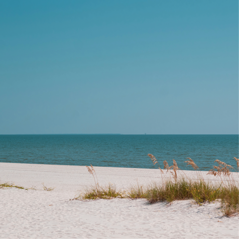 Relax on Inlet Beach, just footsteps from the doorstep