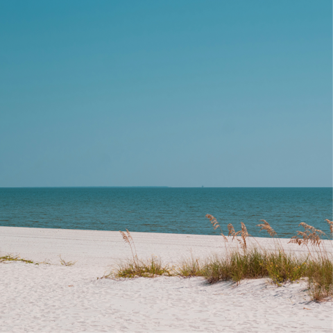 Relax on Inlet Beach, just footsteps from the doorstep