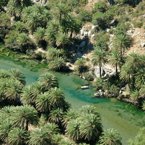 Explore some of Crete's most famous natural beauty spots like Preveli Beach