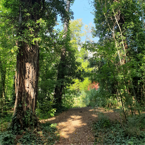 Connect with nature at Parc de Vincennes, Paris' largest green space