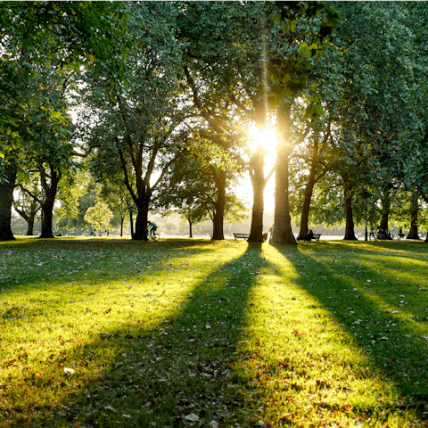 Take your morning stroll through Hyde Park, just a five-minute walk away