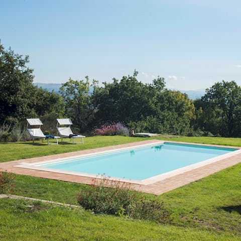 Lounge by the pool, surrounded by greenery