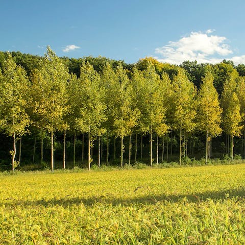Head out and explore the picturesque countryside