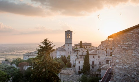 Take the short drive to Assisi for a magical day of sightseeing