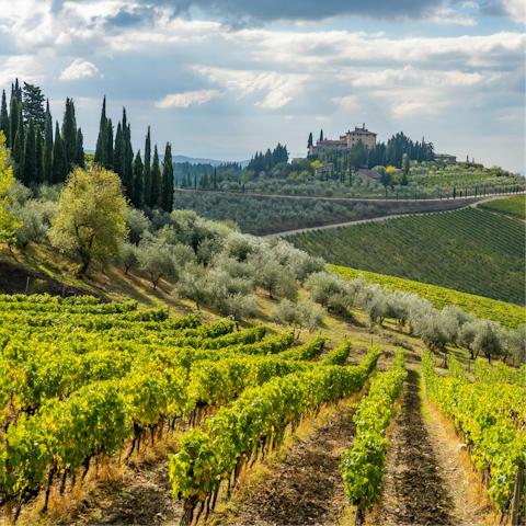 Stay in the heart of Chianti's picturesque wine country