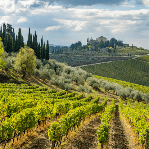 Stay in the heart of Chianti's picturesque wine country