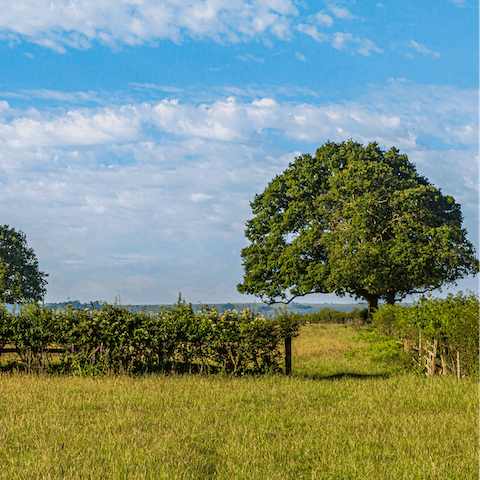 Take a walk in the rural Lincolnshire countryside all around the home
