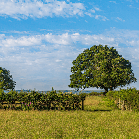 Go out and explore the Shropshire Hills, an Area of Outstanding Natural Beauty