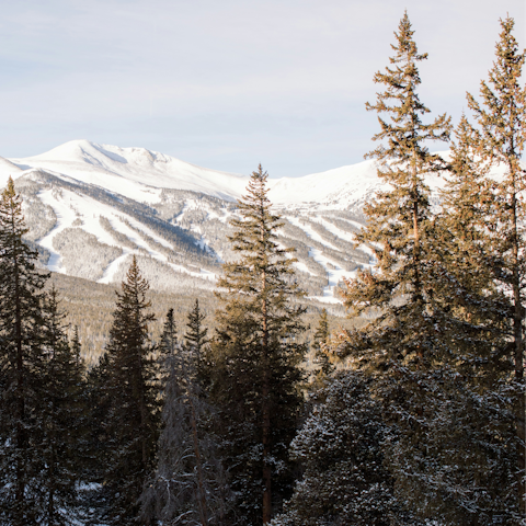 Ski, or hike, with trails just a short walk from your door