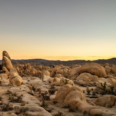 Take a drive to Joshua Tree, forty-five minutes away
