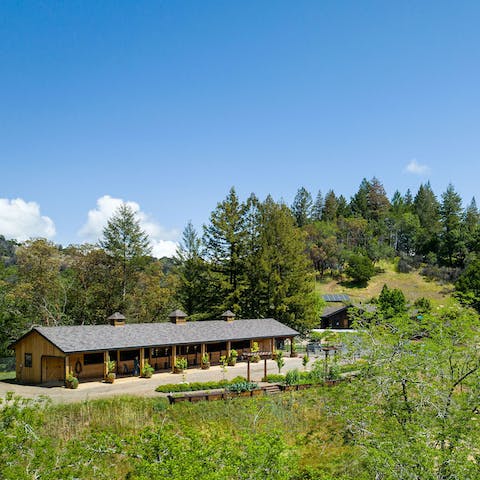 Saddle up at the stables and head out on horseback rides through the hills