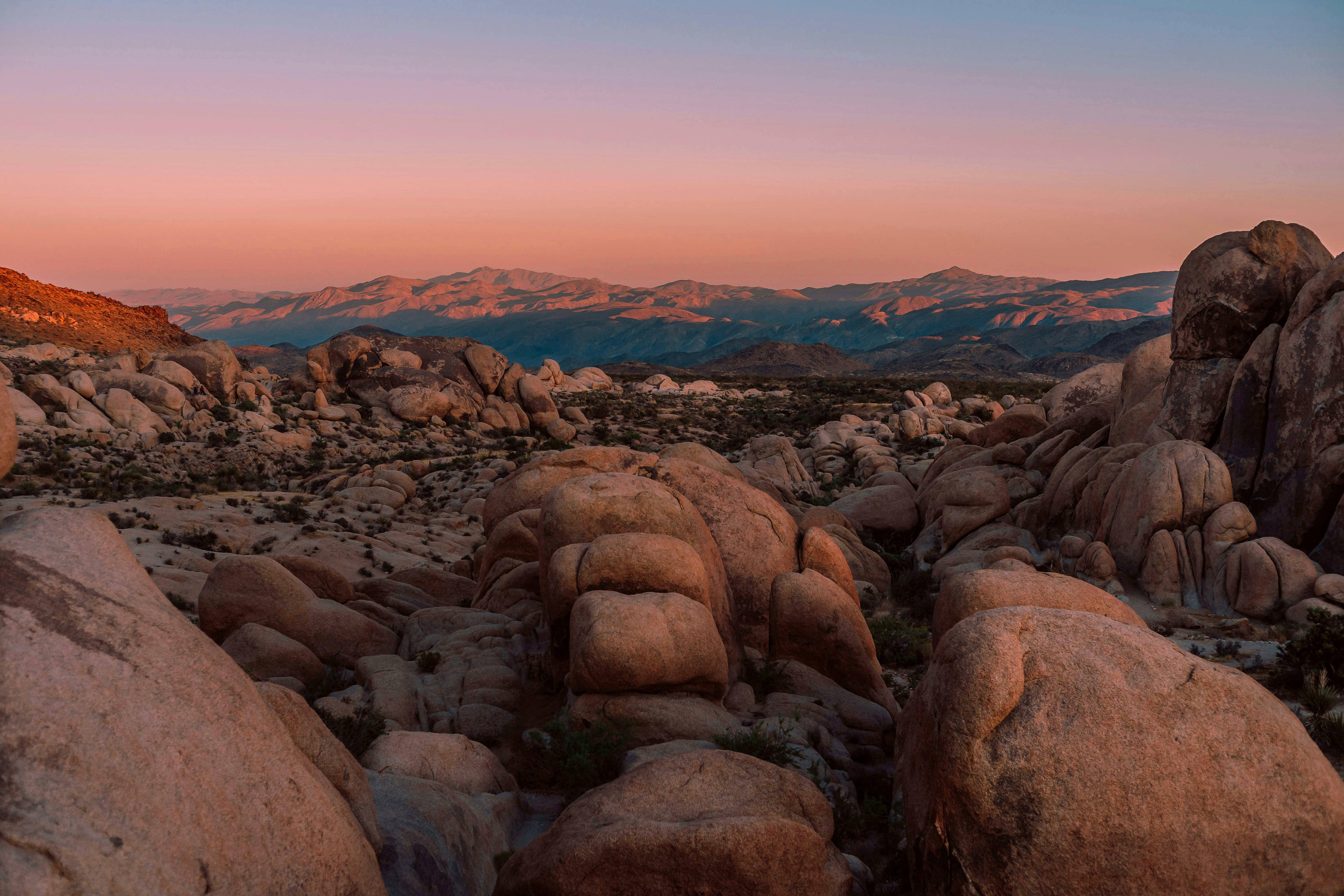 Desert Moon Sojourn
