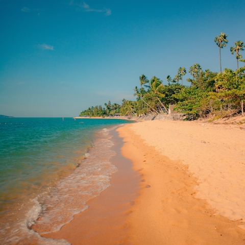 Discover the palm-fringed shores of captivating Koh Samui