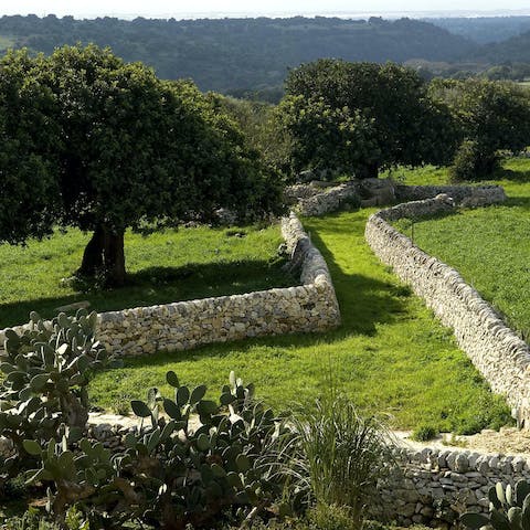 Soak up the surrounding 18 hectares, framed by stone walls