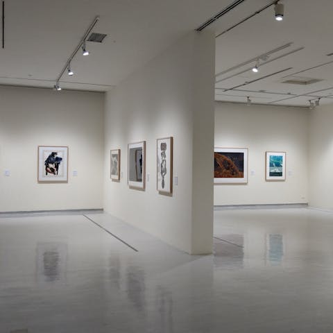 Catch the latest expo at GAM - Galleria d'Arte Moderna, steps away