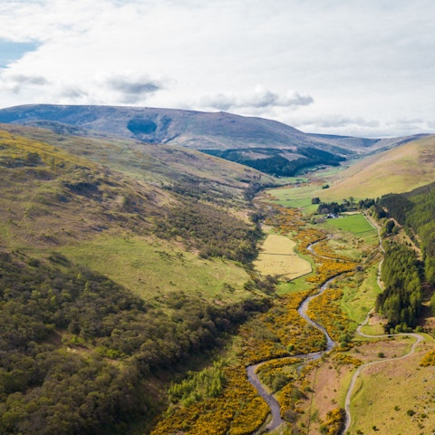 Put your boots on and explore the circular Hillfort Trails in the College Valley