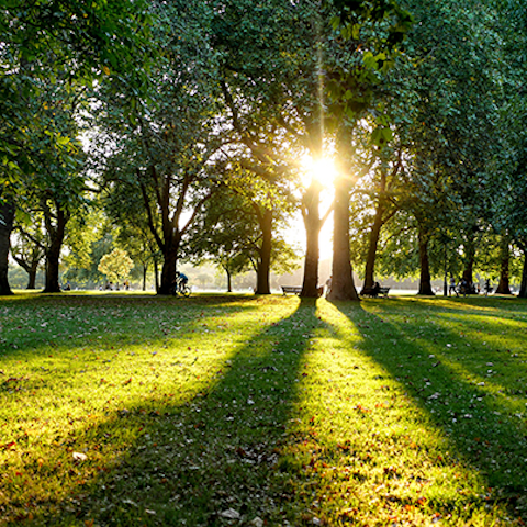 Start the day with a refreshing walk through nearby Hyde Park