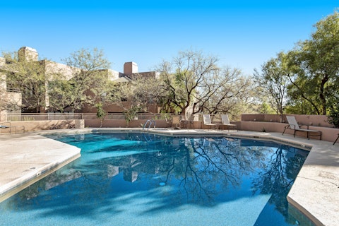 Cool off in the pool surrounded by desert trees