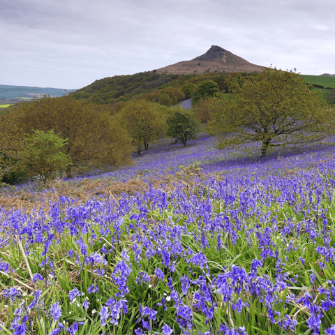 Gaze up at North Yorkshire's most famous hill from Stokesley, gateway to the moors