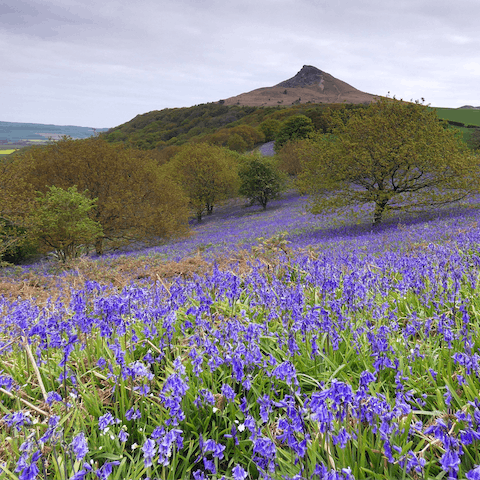 Gaze up at North Yorkshire's most famous hill from Stokesley, gateway to the moors
