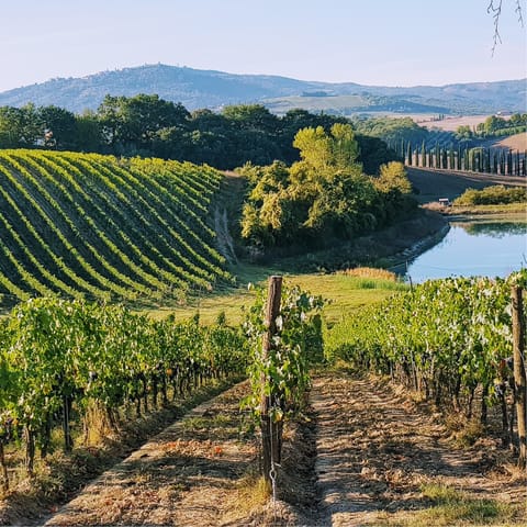 Explore the vineyards in Greve in Chianti – it's a twelve-minute drive