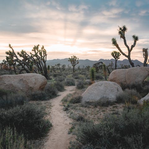 Take the eight-minute drive to the Joshua Tree National Park west entrance and hike to Skull Rock