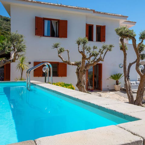 Enjoy peace and privacy while swimming in the pool